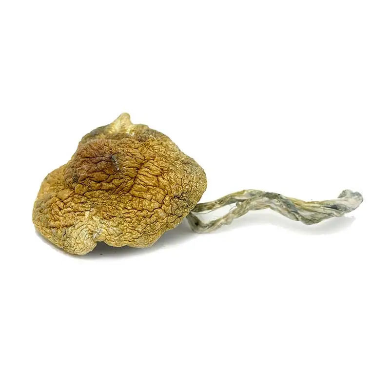 alacabenzi alacabenz