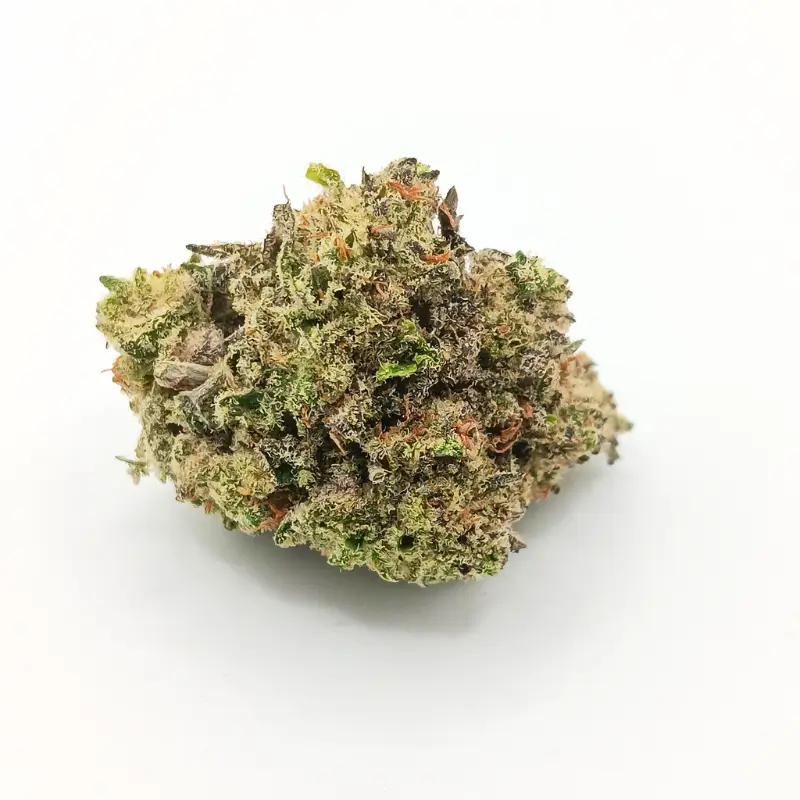 gas-monkey gas-monkey
