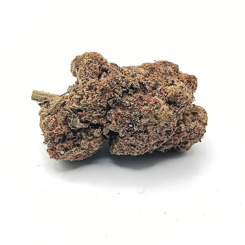 frosted-gelato frosted-gelato